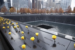 Yellow roses placed in the names of veterans on the 9/11 Memorial. Photo by Jin Lee.