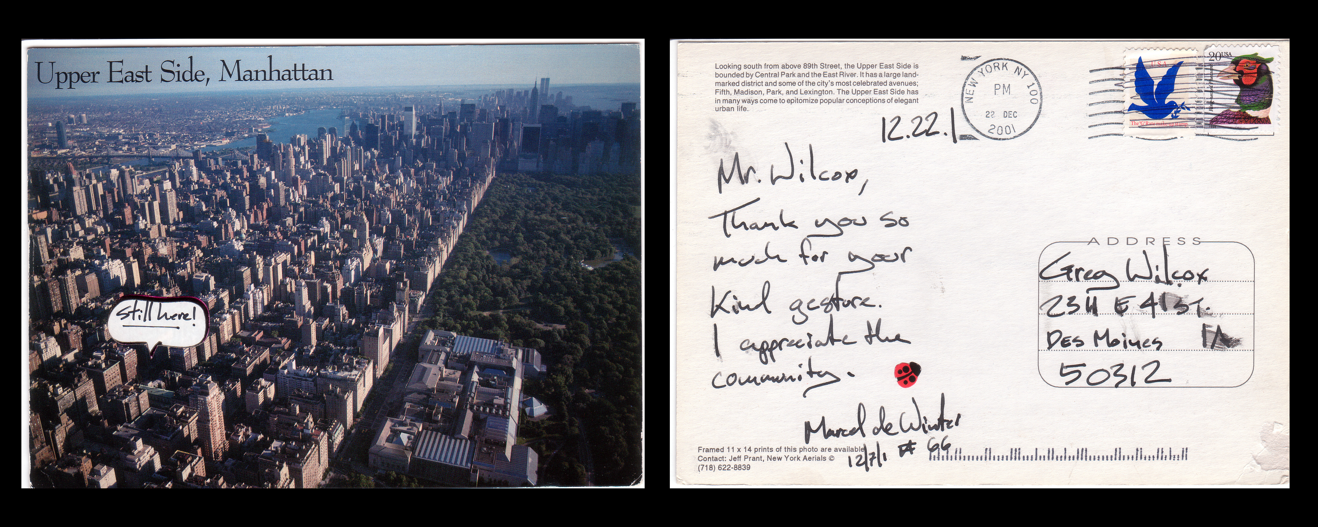 Marcel de Winter, a New Yorker responds