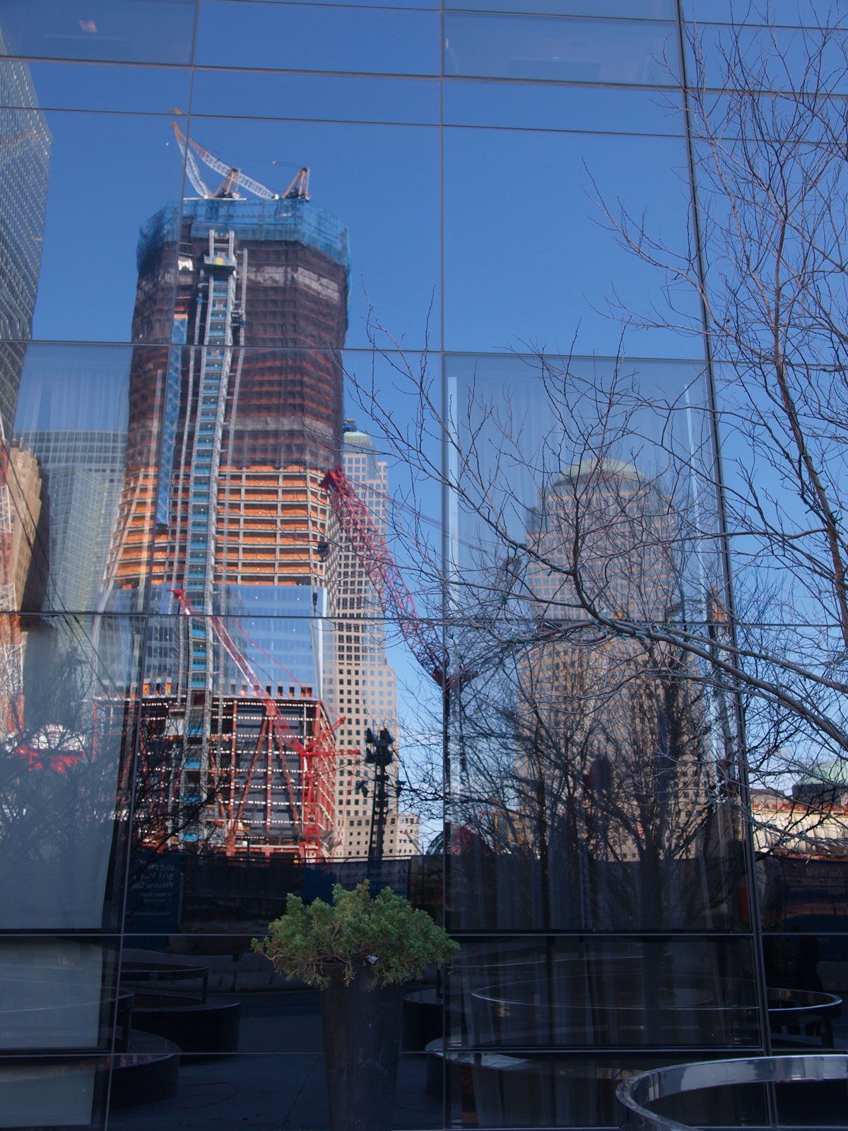 488027_3156.jpg