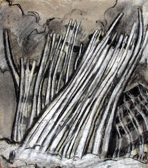 597316_3715.jpg