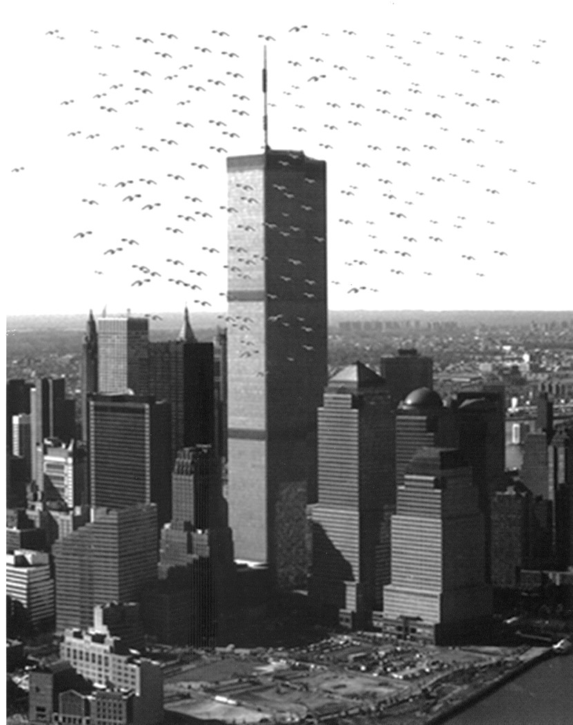 599336_4748.jpg