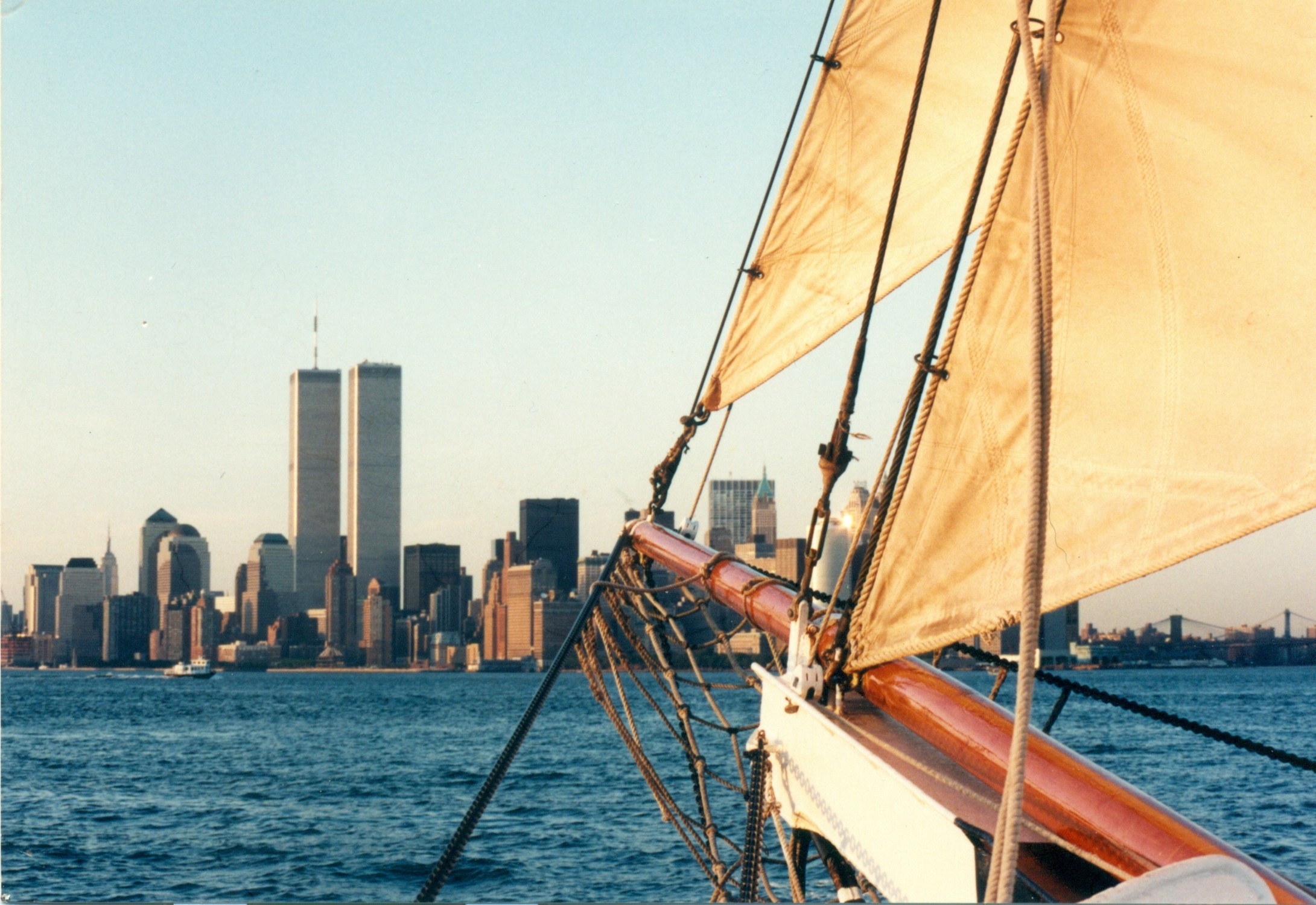 599336_4954.jpg