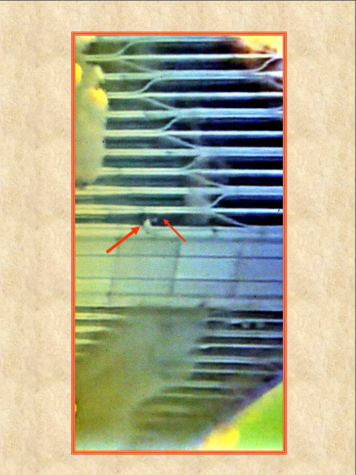 AMERIQUE TOURS 131015 12.jpg