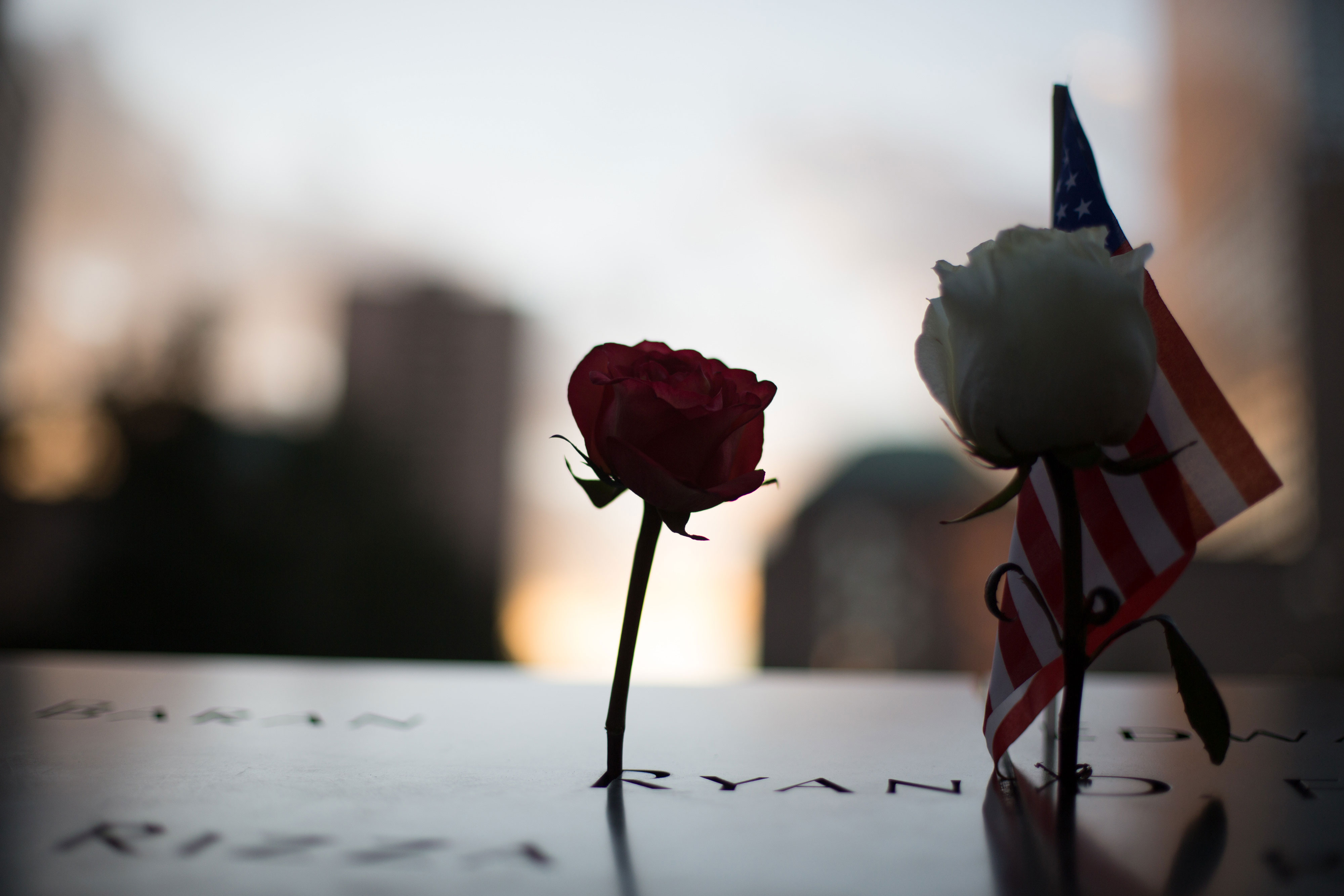 A red rose and a white rose stand beside a small American flag at a name on the 9/11 Memorial.