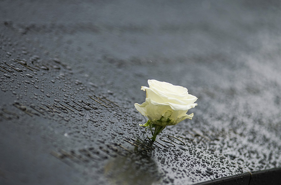 A white rose has been placed at a name on a rain-covered parapet at the Memorial.
