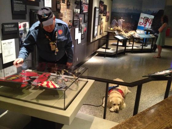 Frank Shane and Chance the K-9 are seen in the Museum’s historical exhibition. Shane is looking at artifacts in a glass display case as Chance lies on the floor.