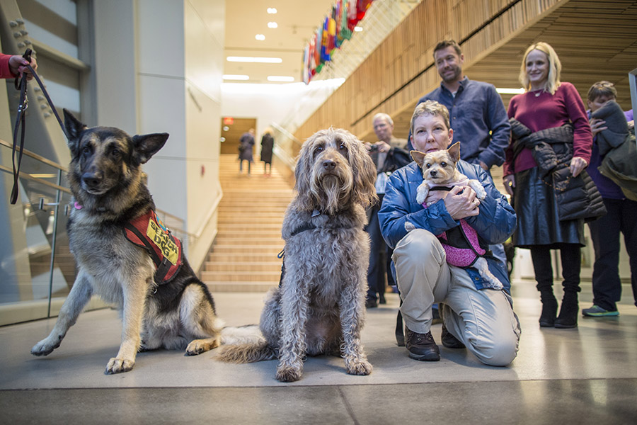 Three dogs named Kobuk, Gander, and Mango stand the entrance to the 9/11 Memorial Museum. Mango is being held by her owner, a middle-aged woman. The flags of various countries hang overhead.