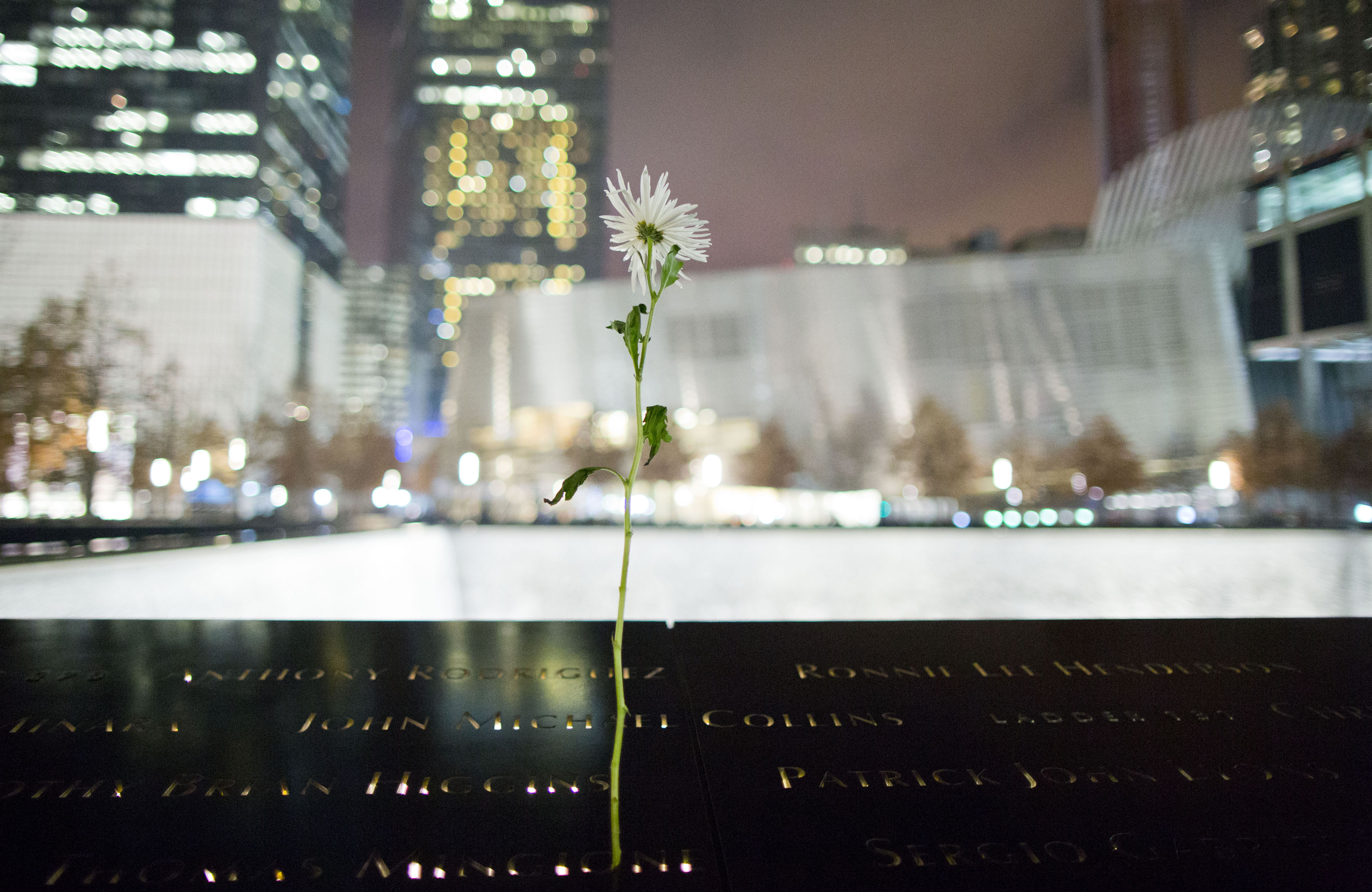 A single white flower has been placed at a name on the 9/11 Memorial. The lights of Memorial plaza and the Museum pavilion shine in the background.