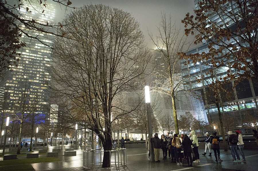 A crowd of people stands near the Survivor Tree on Memorial plaza at night. The lights of the buildings of lower Manhattan are in the background.