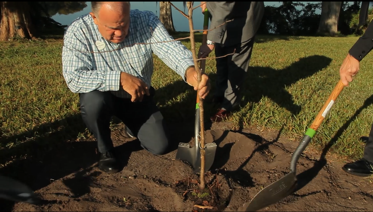Officials hold shovels as they plant a Survivor Tree seedling at a botanical garden in Orlando.