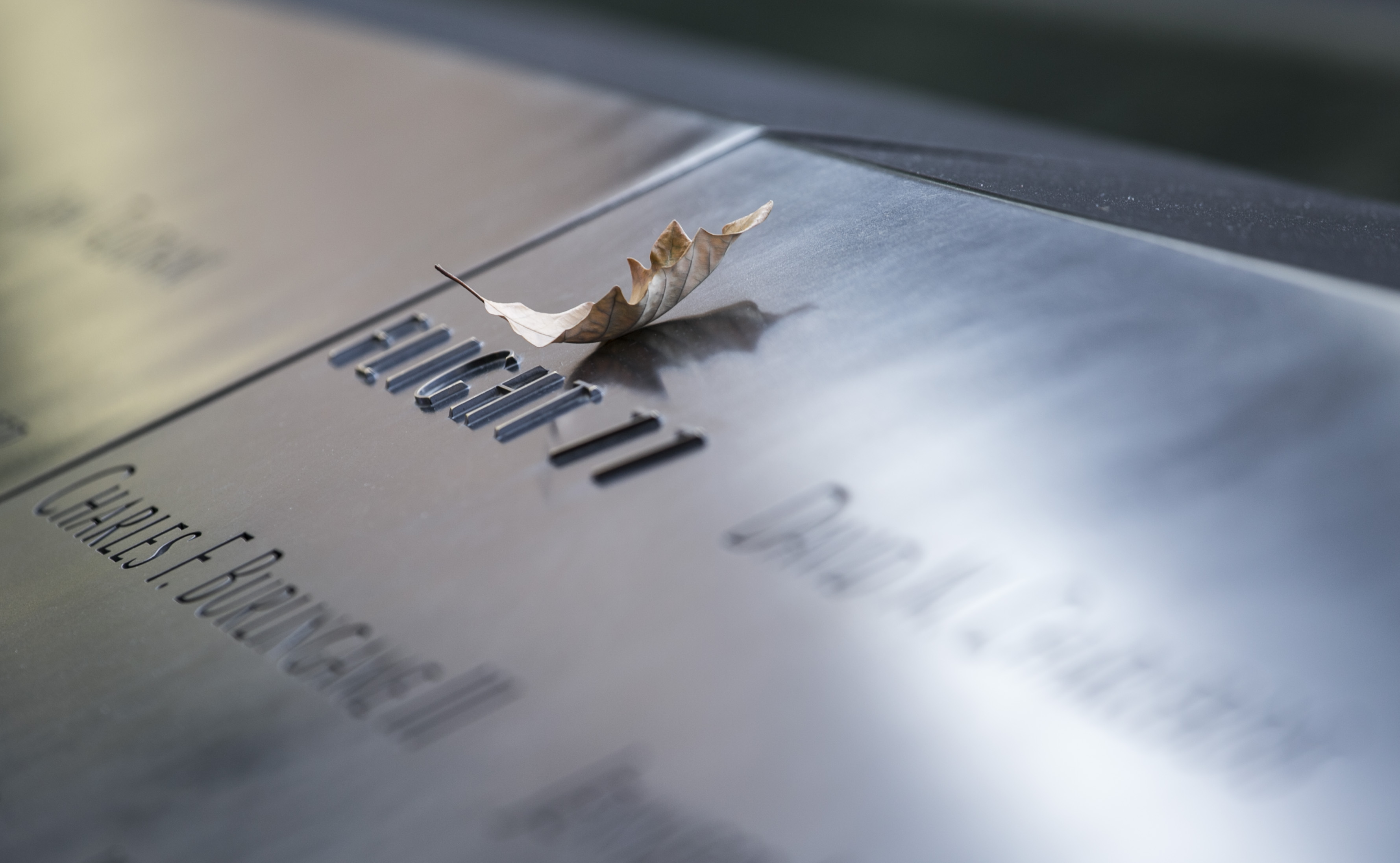 A swamp white oak leaf rests on a bronze parapet commemorating the Flight 77 victims at the south pool of the 9/11 Memorial.