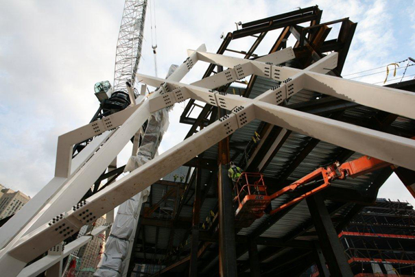 Survivor Tree Back at World Trade Center Site