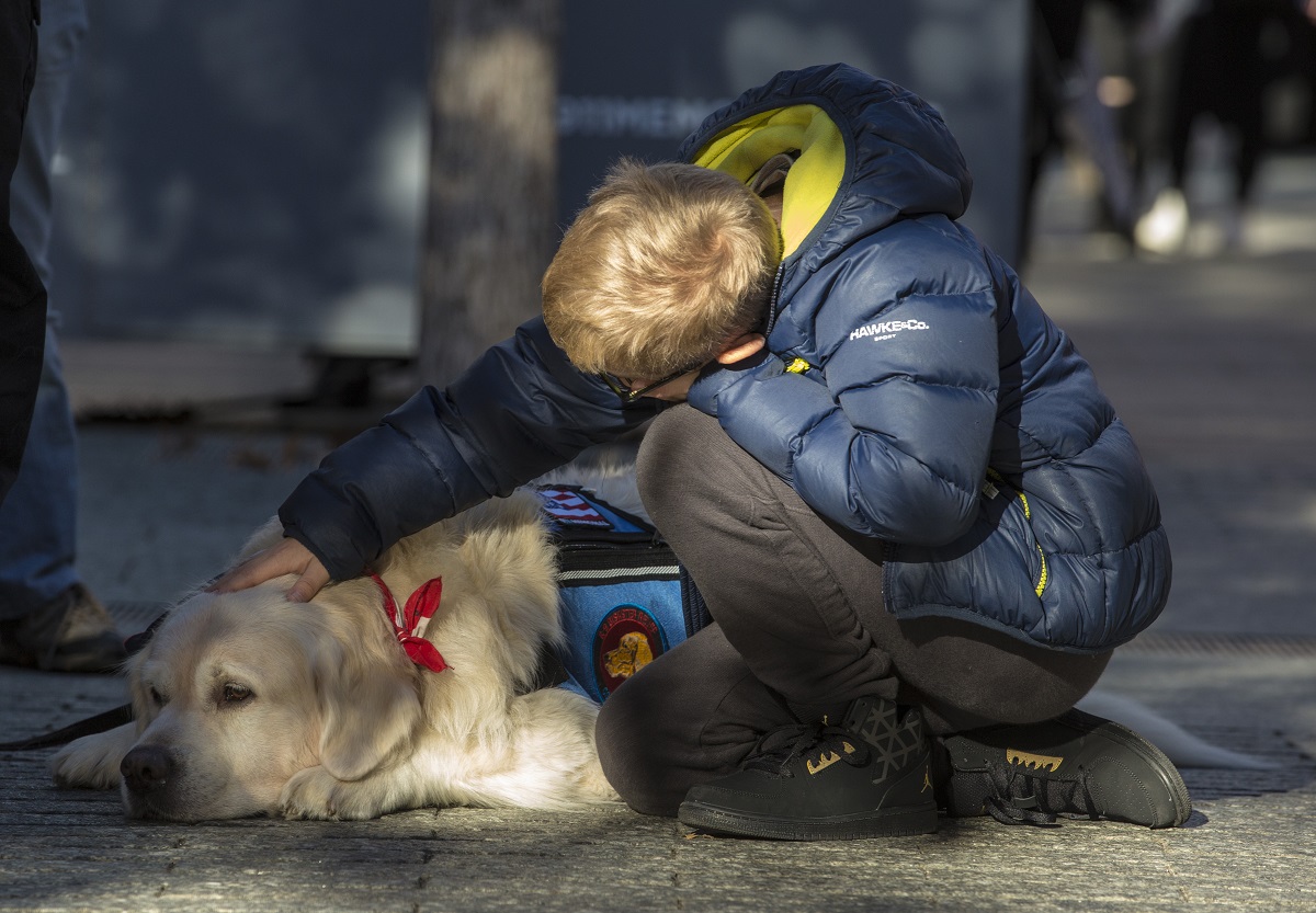 A young boy in a fall jacket pets Chance the golden retriever at the 9/11 Memorial.