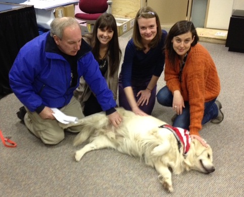 Frank Shane and his new therapy dog, Chance, meet with Museum staff. Chance is rolling over on the floor and his being petted by Shane and the staff members.