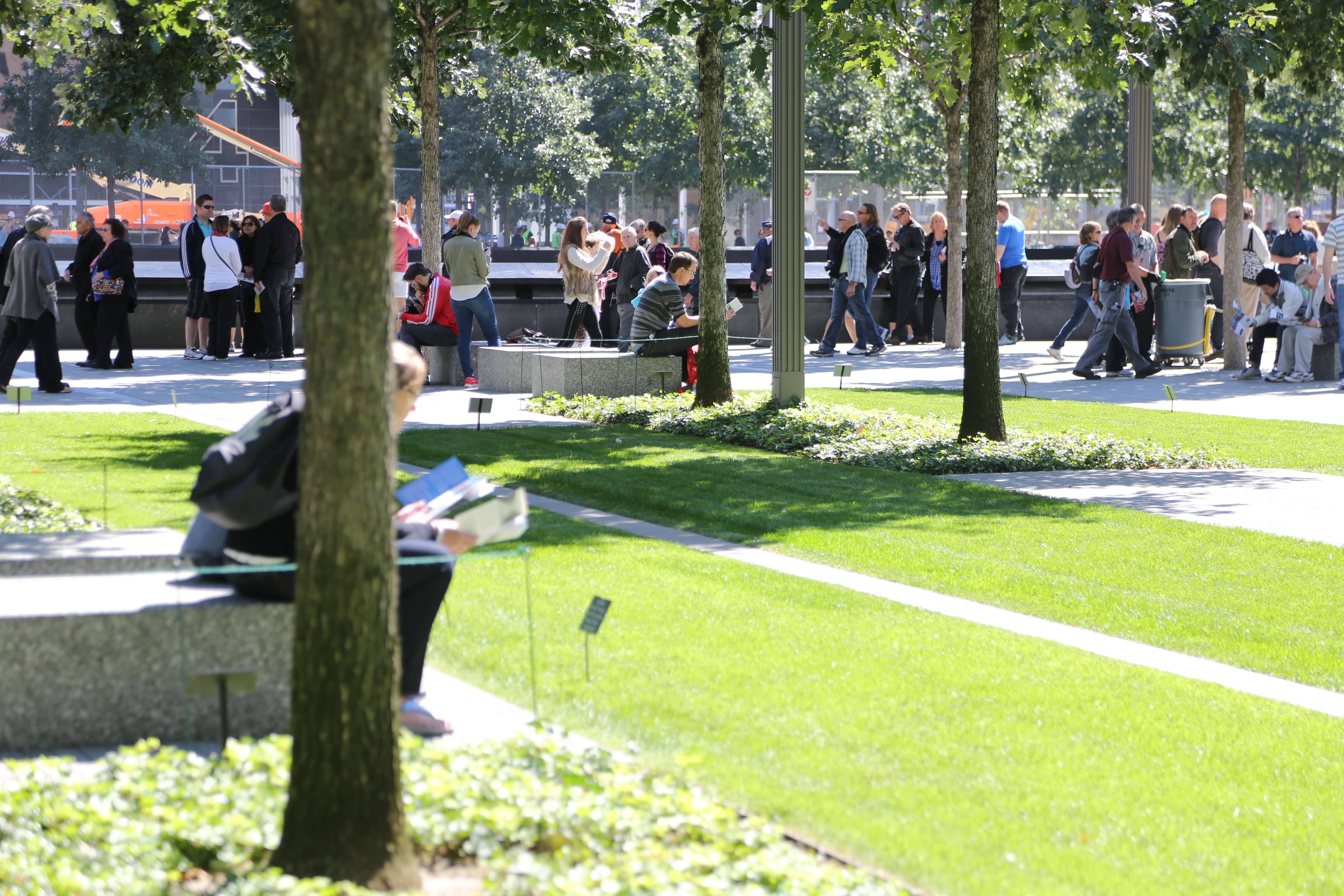 Visitors sit on benches and walk around the 9/11 Memorial plaza on a sunny day. In the foreground a woman sits under a tree reading a pamphlet.
