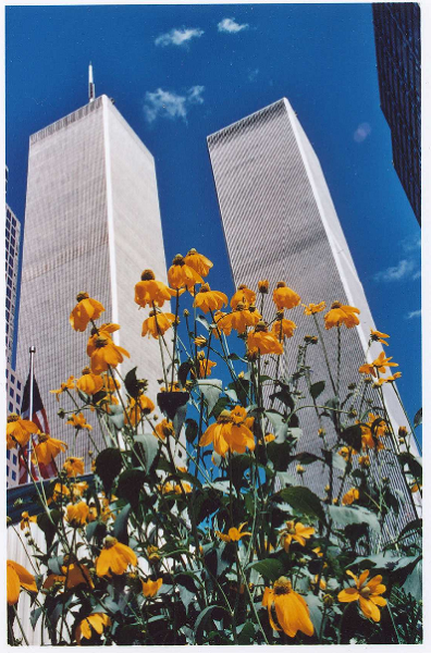 An old photo shows the Twin Towers reaching skyward on a sunny day. In the foreground are yellow flowers at street level.