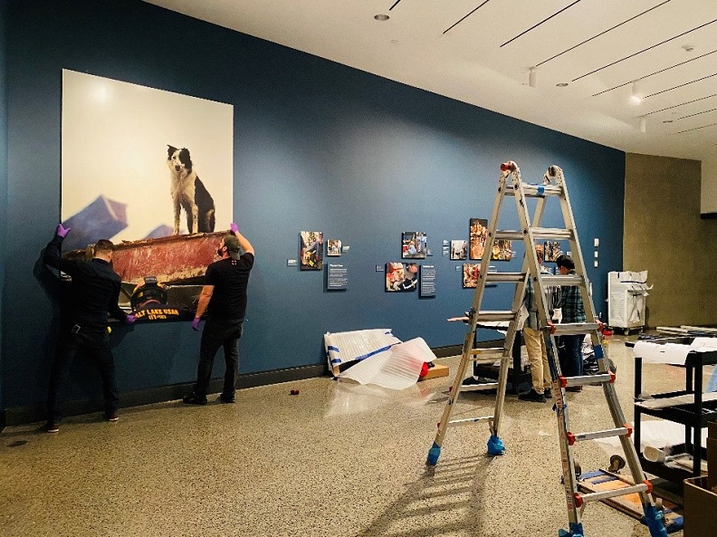The "K-9 Courage" exhibition space under construction.