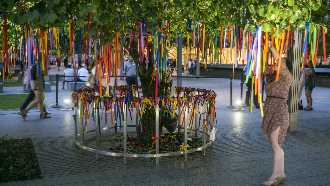 Rainbow ribbons have been placed on the branches of the Survivor Tree, as well as on a railing surrounding the tree.