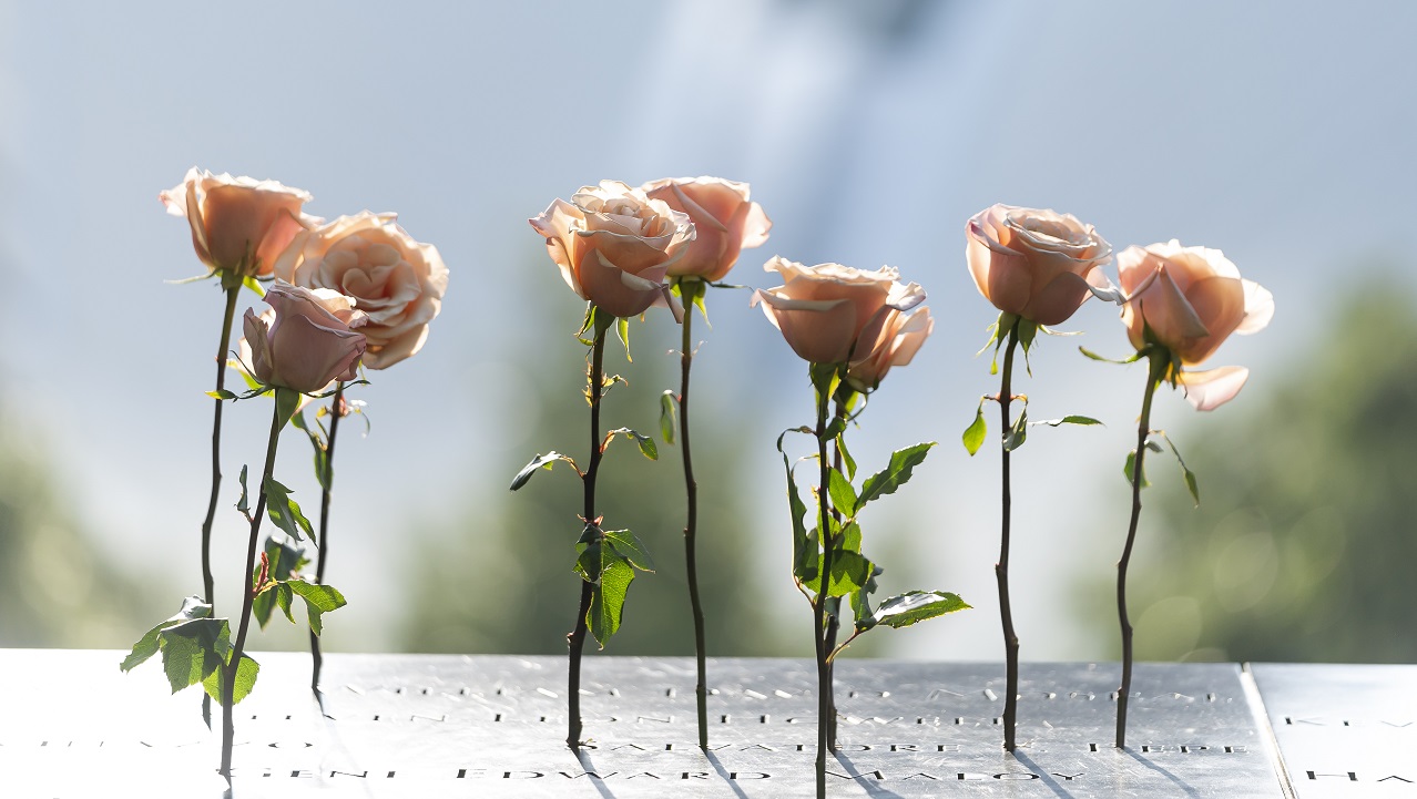 Seven dusty pink long-stemmed roses stand in the Memorial parapet.