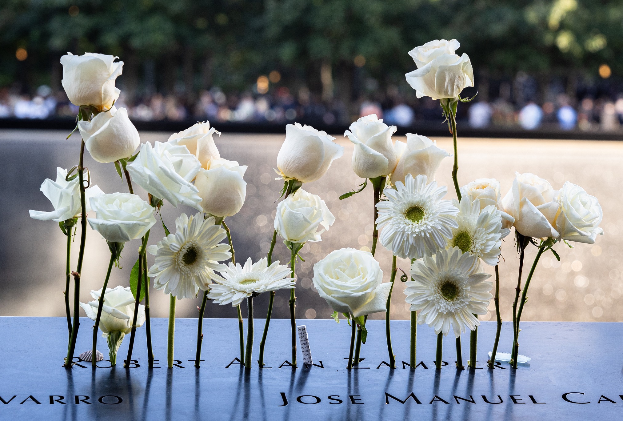 White flowers at names on the Memorial