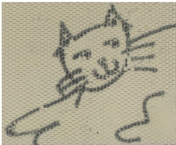 A close-up photograph of the smiling cat from the Magna Doodle screen, included as a "before" shot, upon its inscription in October 2017.
