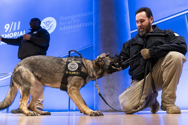 A man with a black windbreaker and khakis kneels next to a shepherd dog, who is having a toy pulled from its mouth. The dog wears a vest that reads, "Do not pet K-9 unit."
