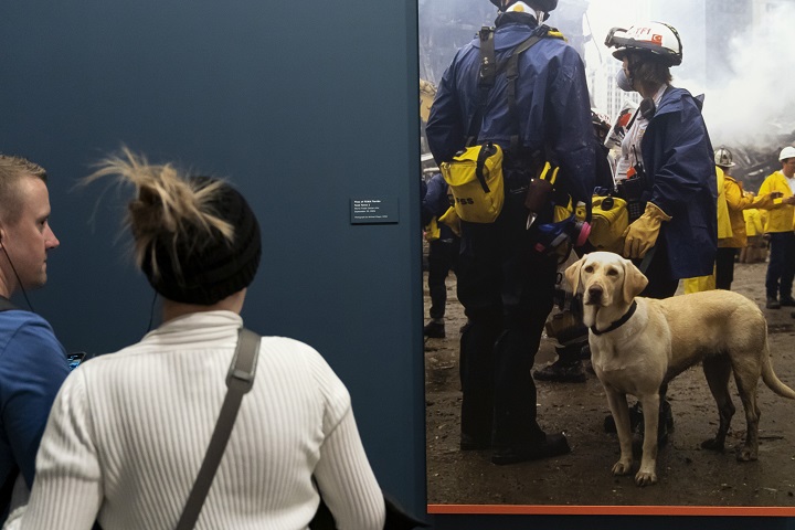 A woman in a white turtleneck and a man in a blue shirt stand in front of a blue wall looking at a blown-up photograph of a dog standing alongside rescue and recovery workers.