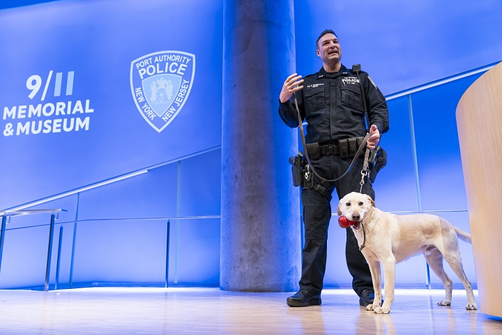 A man in a police uniform stands and gestures on an auditorium stage with a yellow Labrador standing alongside him, with a red dog toy in its mouth.