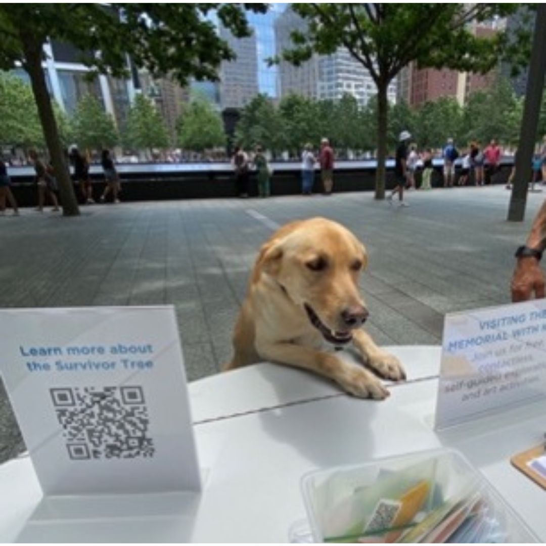 Rookie, Teddy, and the Furry Staff Members Keeping This Site Safe | National September 11 Memorial & Museum