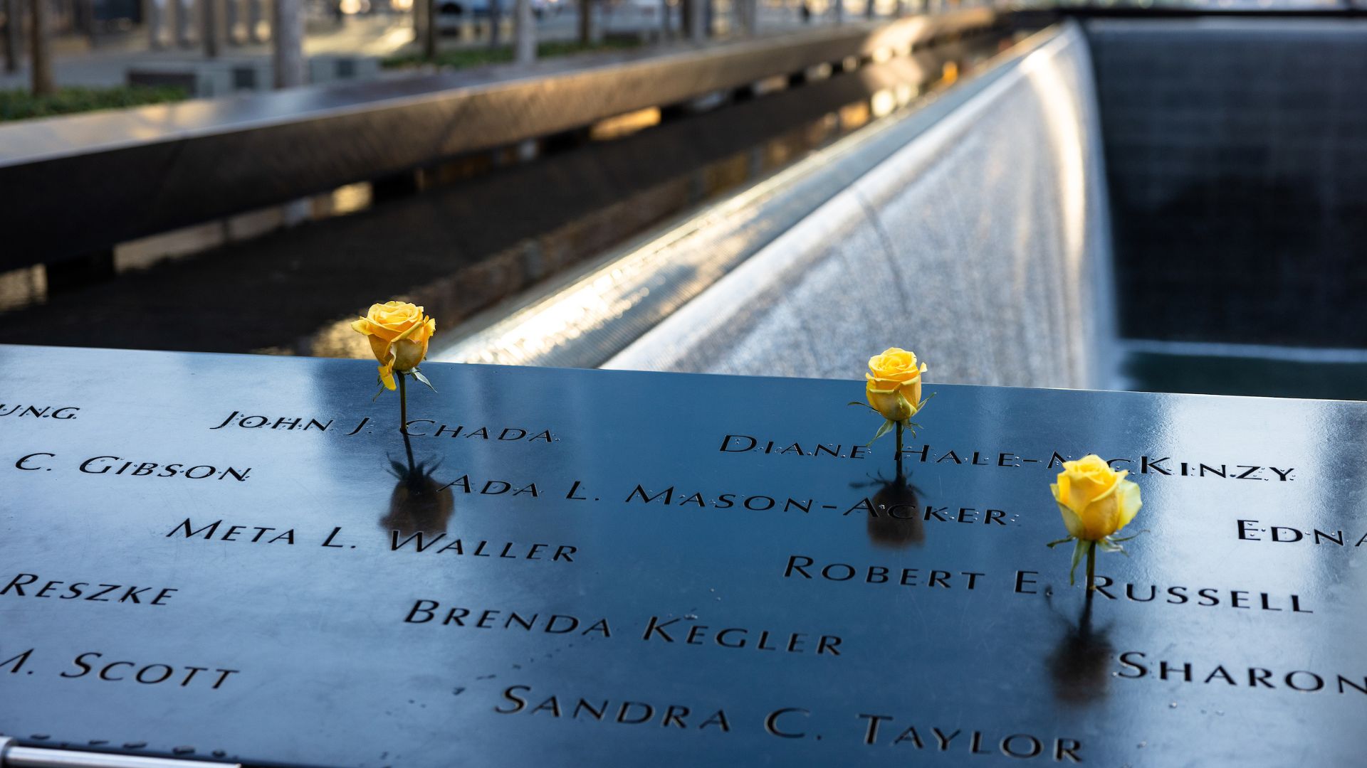 Yellow roses on the Memorial 
