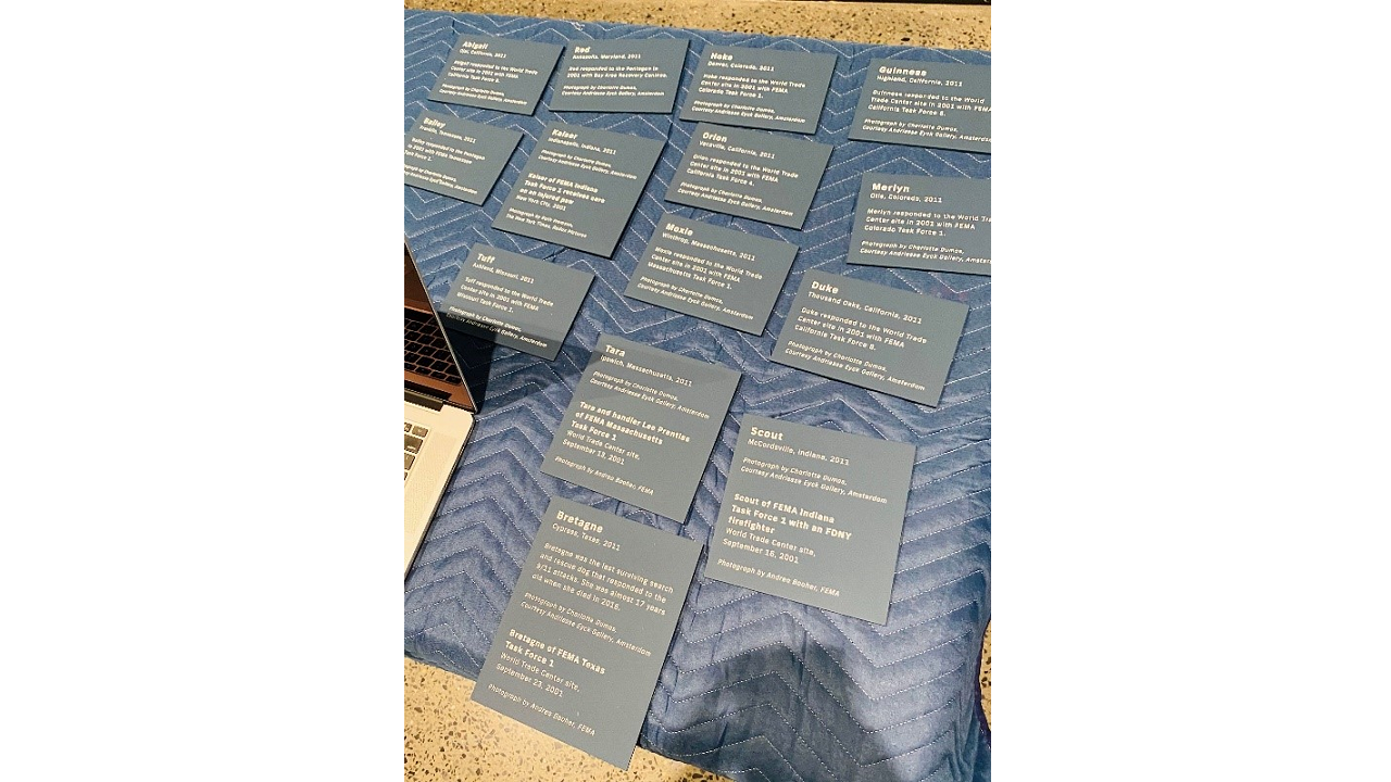 Wall labels for K-9 Courage laid out on a table, awaiting to be installed in the gallery space.