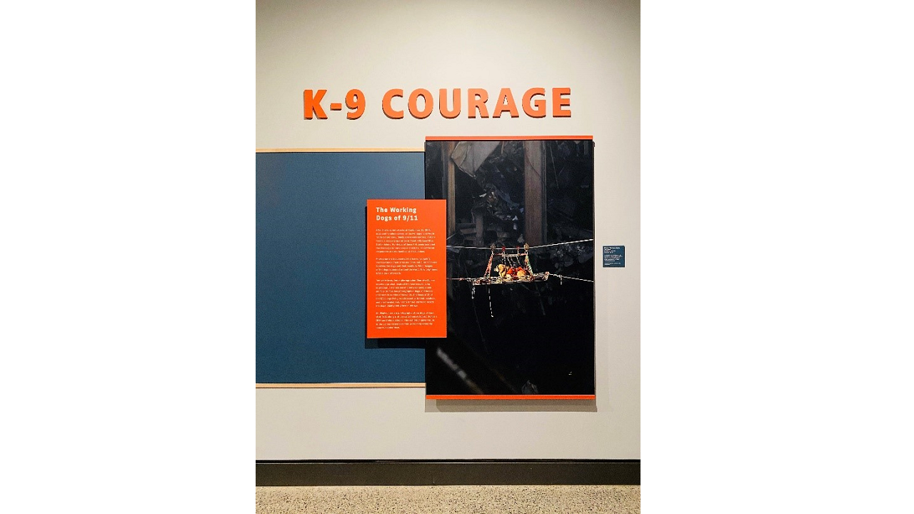 A photo of the installation of "K-9 Courage" exhibition.