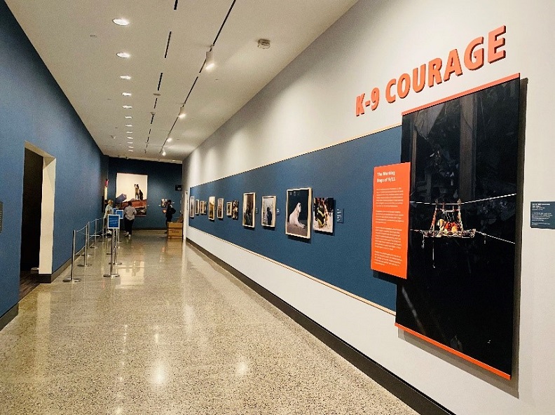 A photo of the installation of "K-9 Courage" exhibition.
