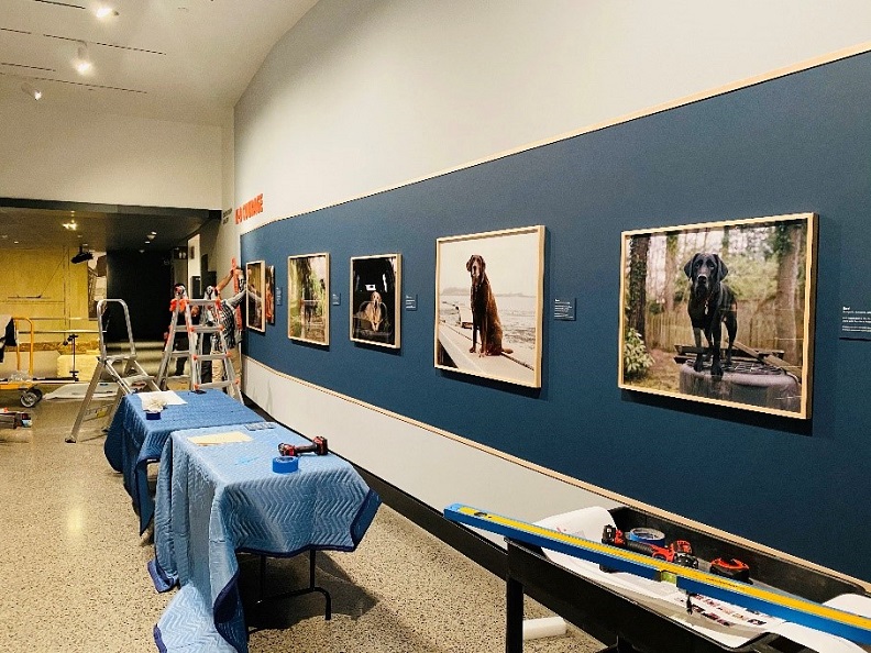A photo of the installation of "K-9 Courage" exhibition.