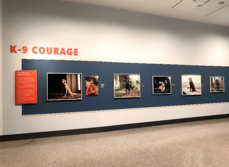 A photo of the installation of "K-9 Courage" exhibition.