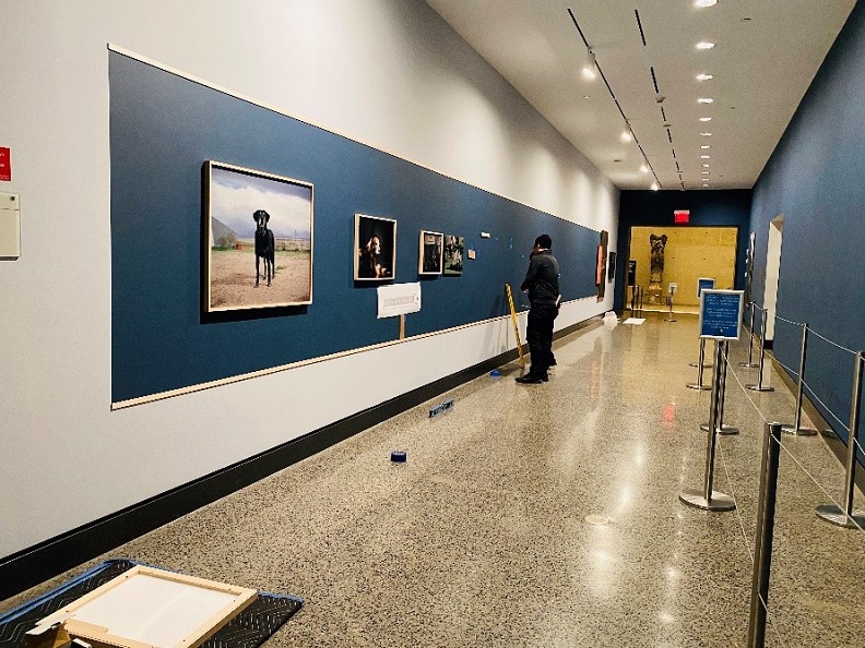 A photo of the installation of "K-9 Courage" exhibition.
