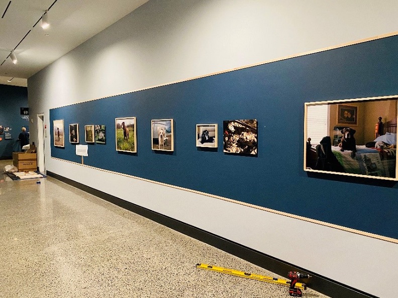 A photo of the installation of "K-9 Courage" exhibition.