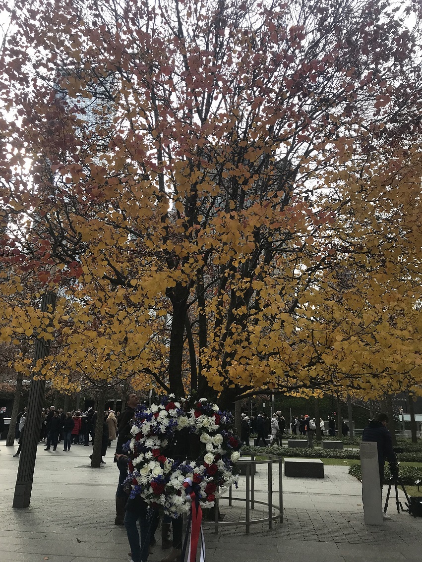 Floral wreath at the base of the Survivor Tree, which displays yellow and orange fall foliage