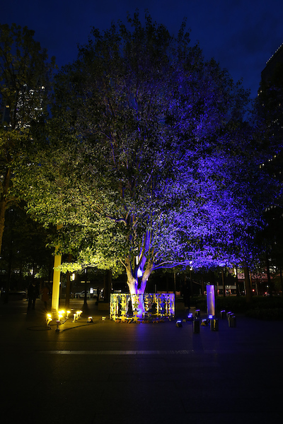 The Survivor Tree is illuminated in blue and yellow light, against the nighttime sky