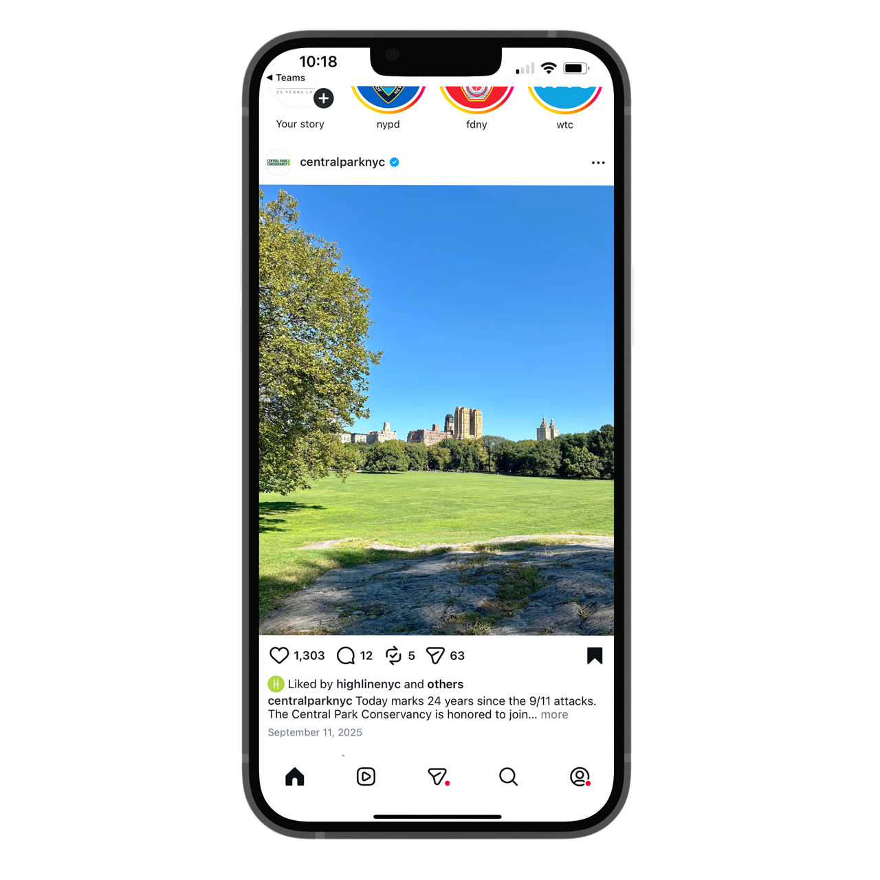 An iPhone screen showing a stretch of green grass, a bright blue sky, and a portion of an urban skyline with trees framing it.