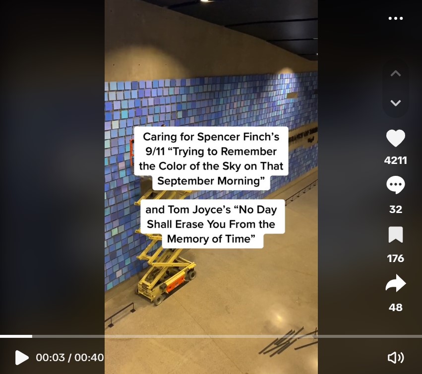Screen shot of TikTok Spencer Finch video