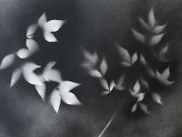 DUPE (Better Quality)