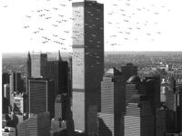 599336_4748.jpg
