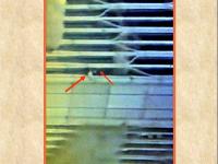 AMERIQUE TOURS 131015 12.jpg