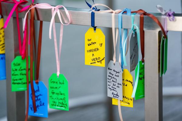 tags hang on a bar around the Survivor Tree