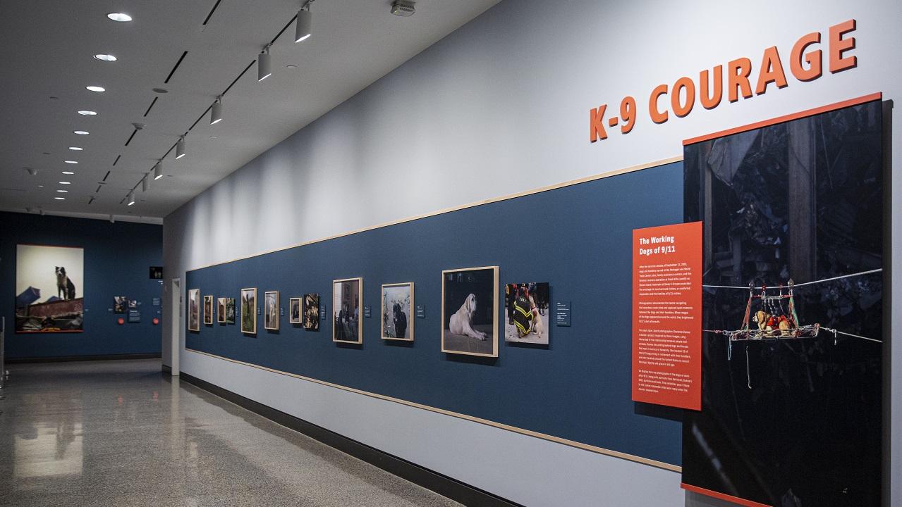 A hallway with framed photographs of rescue dogs stretches through the frame. "K-9 Courage," the title of the exhibition, appears above the wall of photographs.
