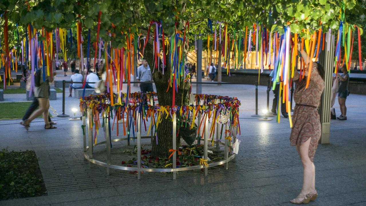Dozens of colorful ribbons hang off the Survivor Tree in full bloom on the 9/11 Memorial.  A woman on the right side of the image is seen reaching upward to affix another ribbon to the tree.