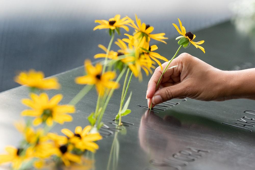 A dozen daisies adorn the names panels of the 9/11 Memorial.  A person's hand is shown on the left side of the frame placing one more yellow daisy on to the Memorial. 