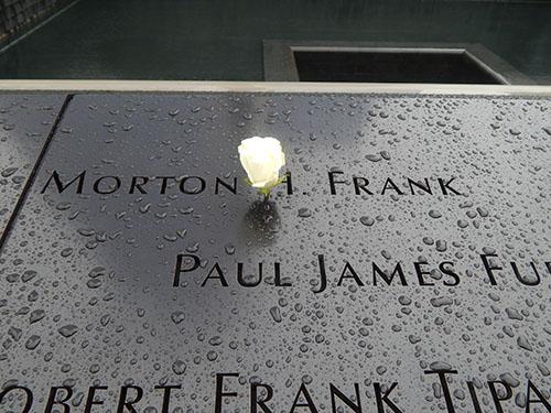 A birthday rose has been placed at the name of Morton Frank on a bronze parapet at Memorial plaza. Drops of rain are on the parapet.