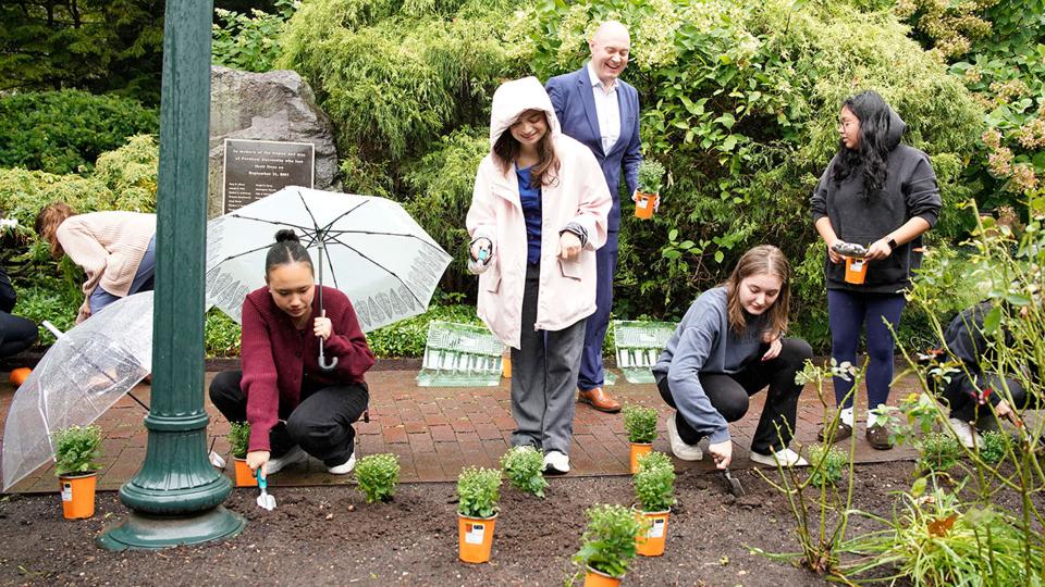 A group of people with umbrellas or raincoats plant flowers near a brick path and a boulder with a memorial plaque.